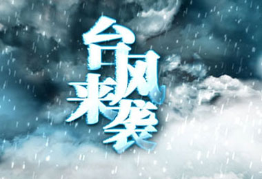 影动力独家片源